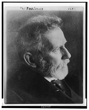 Ehrlich Fig21