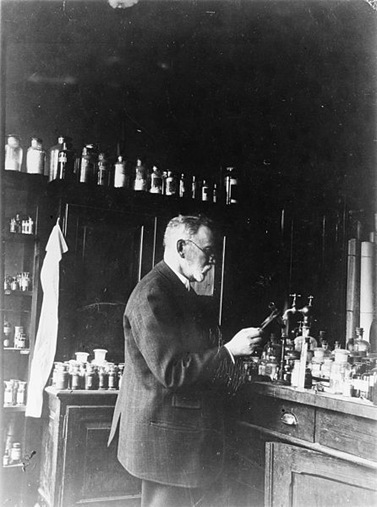 Ehrlich Fig23