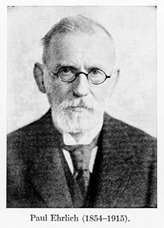 Ehrlich Fig24