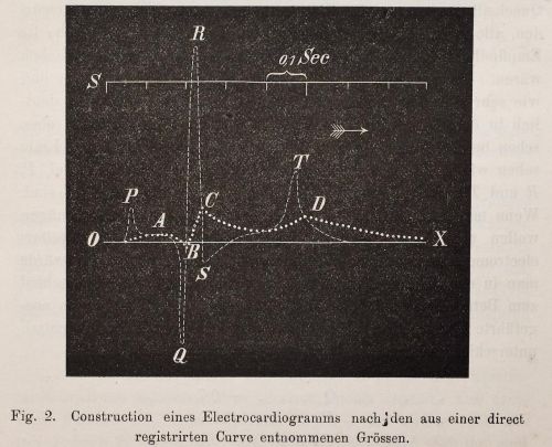 Einthoven