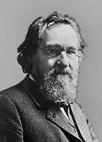 Mechnikov Fig 8