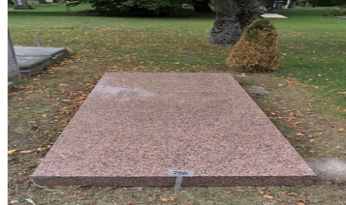 Quidde Fig12