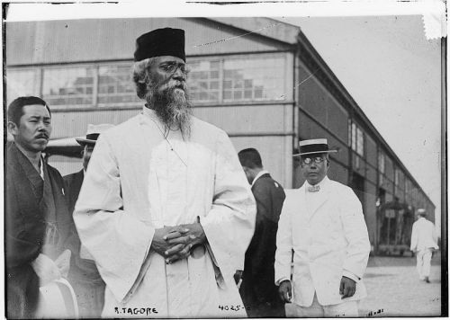 Tagore Fig 12